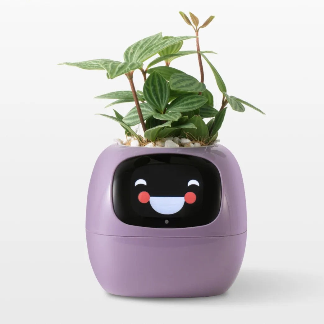Pot de fleurs intelligent animées et capteurs connectés