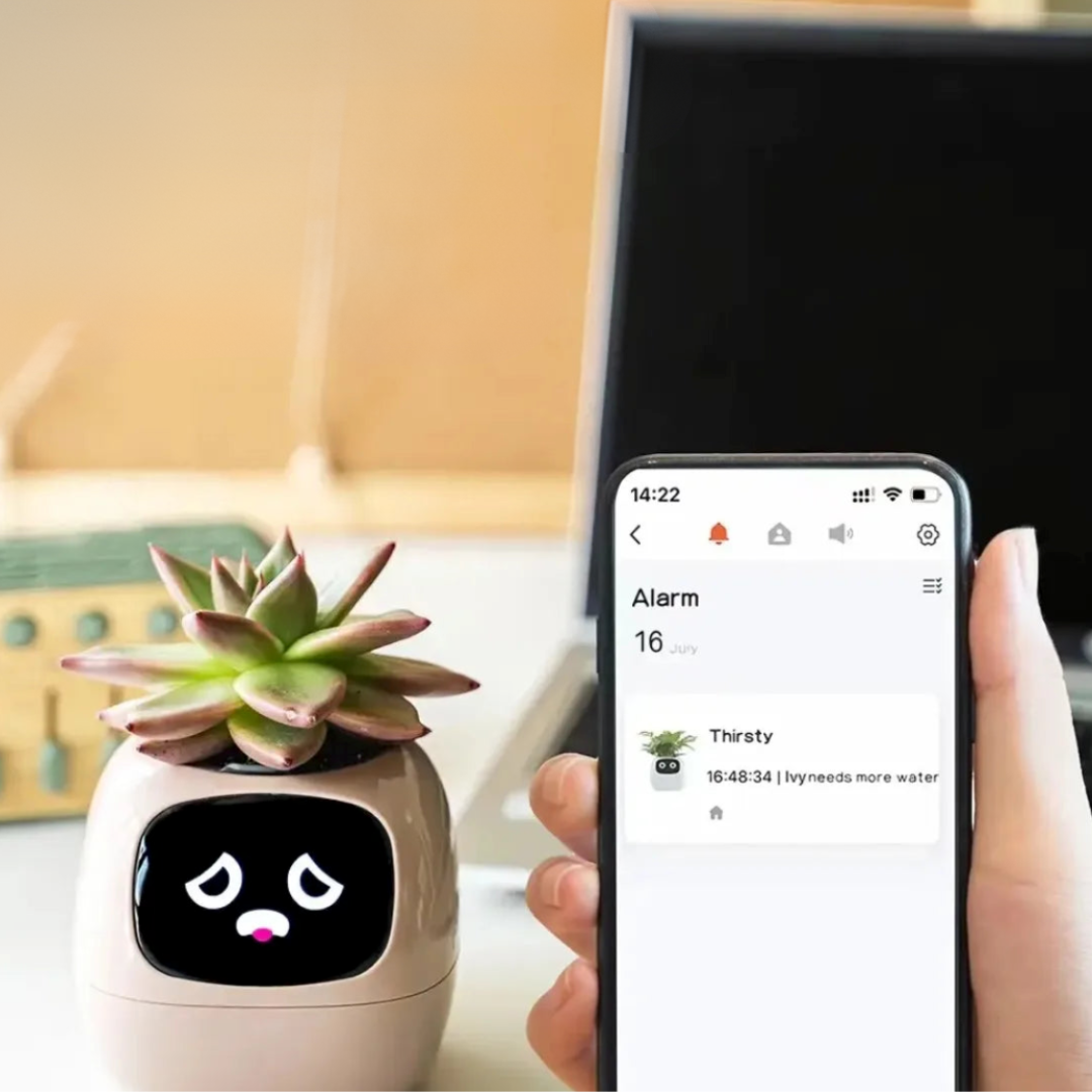 Pot de fleurs intelligent animées et capteurs connectés