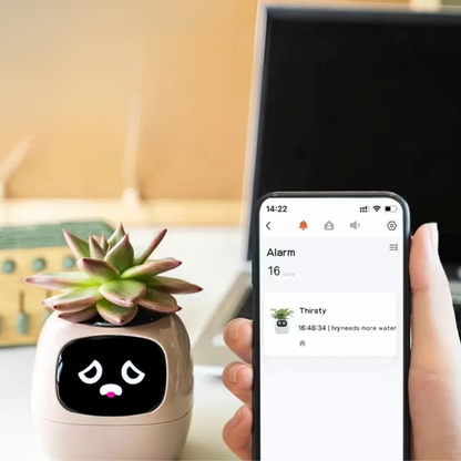 Pot de fleurs intelligent animées et capteurs connectés