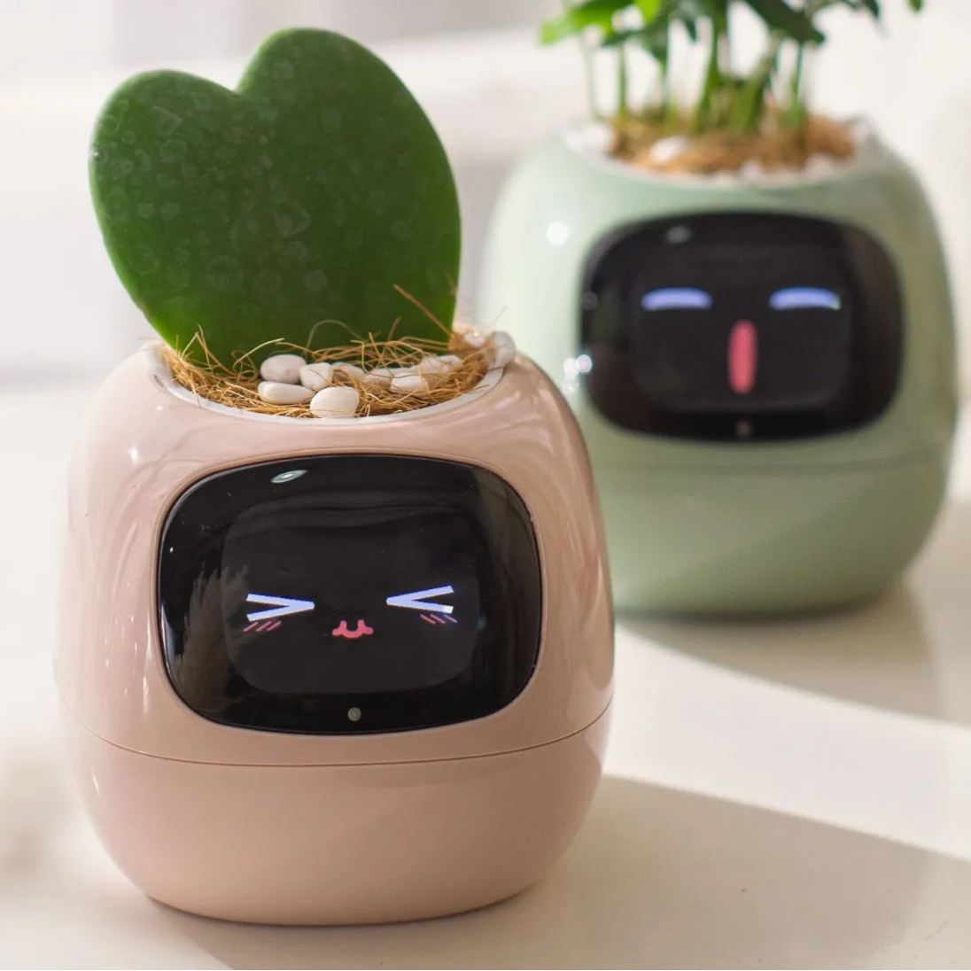 Pot de fleurs intelligent animées et capteurs connectés
