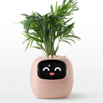 Pot de fleurs intelligent animées et capteurs connectés