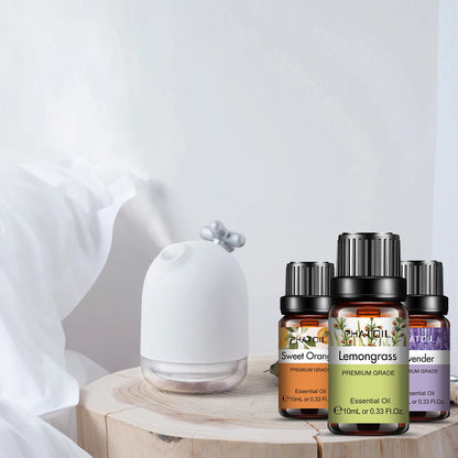 Coffret PHATOIL 6 Huiles Essentielles – Naturelles et Polyvalentes