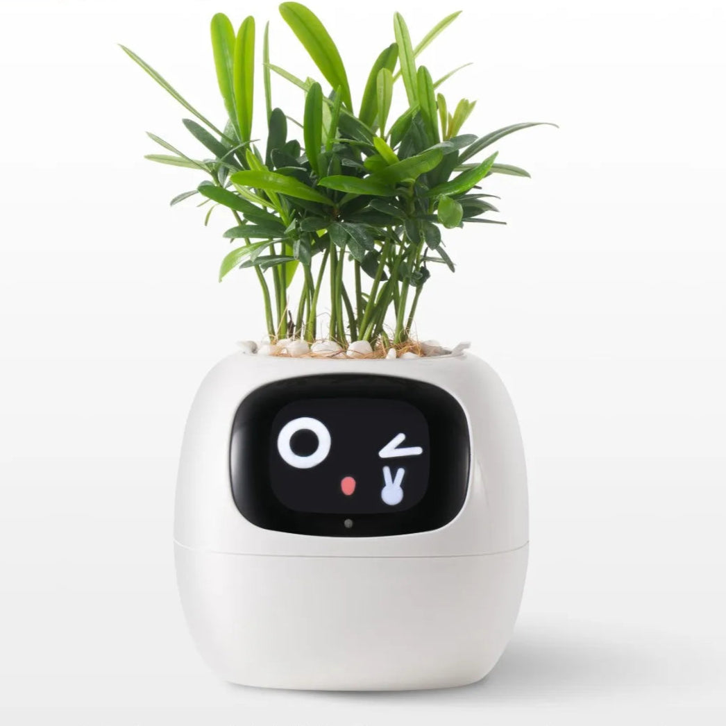 Pot de fleurs intelligent animées et capteurs connectés