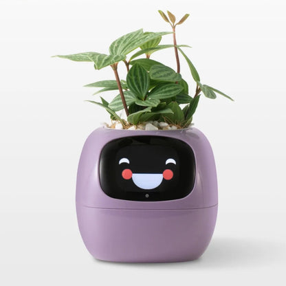 Pot de fleurs intelligent animées et capteurs connectés