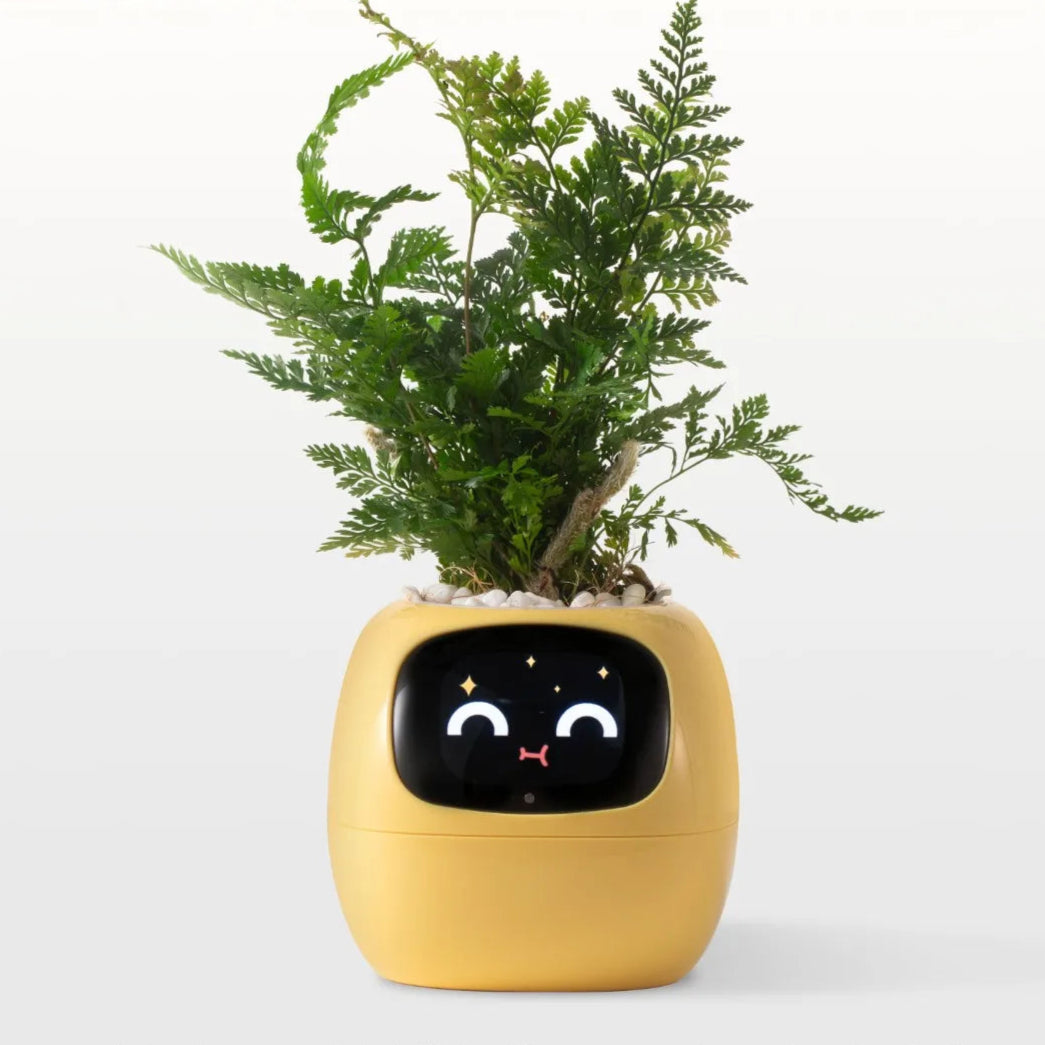 Pot de fleurs intelligent animées et capteurs connectés